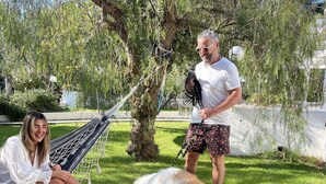 Una hamaca, una persona y un perro en un espacio al aire libre con césped y árboles.