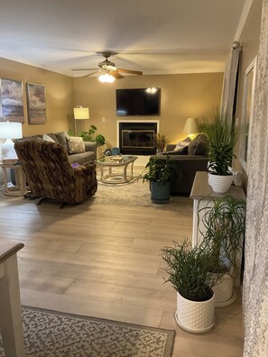 Smart TV, fireplace, books, printers