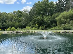Property grounds - Unique Rustic Suite with Jacuzzi Tub, Kitchen, Fireplace, and Living Room (Millersburg)