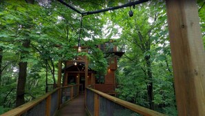 A wooden suspension bridge leading to a cabin surrounded by dense forest. - Incredible Treehouse with Treetop Views - Sleeps up to 6 (Millersburg)