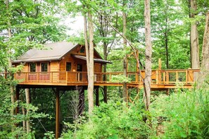 Exterior - Luxury Treehouse Getaway with Treetop Views (Millersburg)
