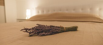 Cozy villa with wood fireplace. Located just 700 m from Bohinj Lake