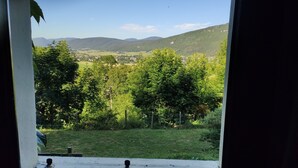 A view through a window of a green landscape with trees and hills in the distance.