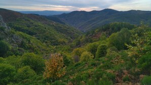 Eine gebirgige Landschaft mit dichtem Grün und einem Tal.