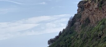 Casa de Piña, 700 mts to Newport Beach, headland views, spacious 2 bedrm apt. 