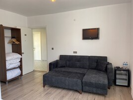 Economy Oda, Zemin Kat | Minibar, dizüstü bilgisayar çalışma alanı, ses yalıtımı, ütü/ütü masası 