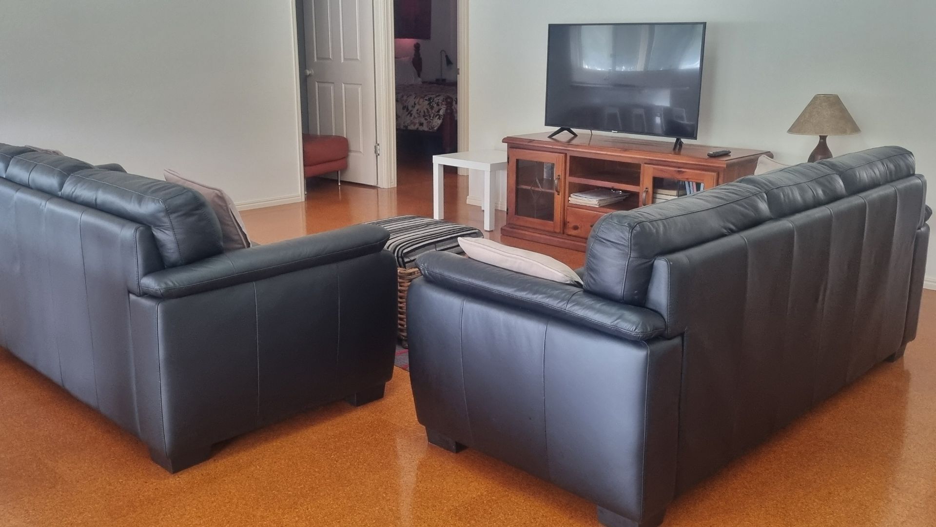 Smart TV, Netflix, DVD player, books