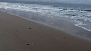 På stranden