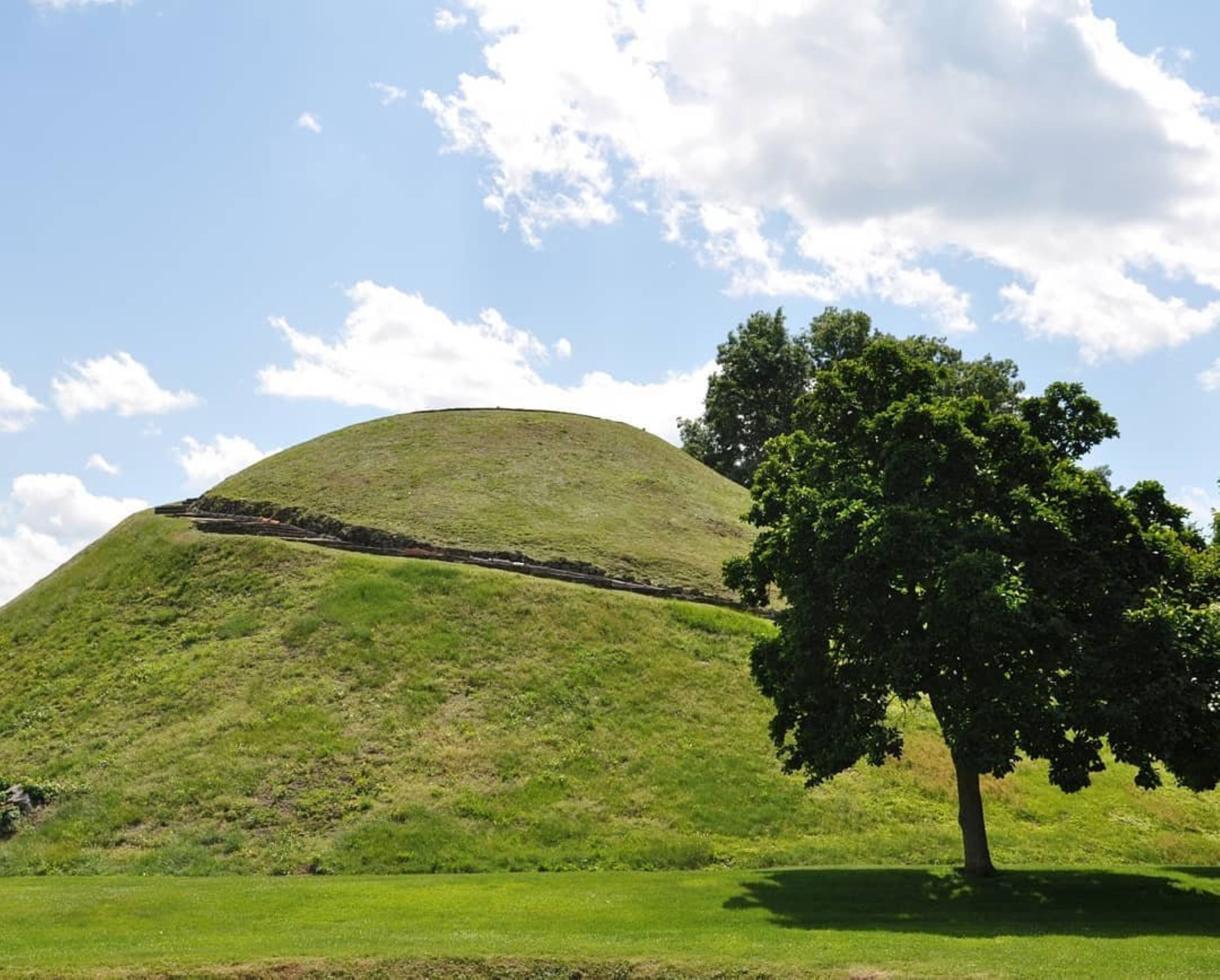 Ein grasbewachsener Hügel mit einem Baum im Vordergrund und einem klaren Himmel mit Wolken.