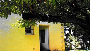 Un edificio giallo con una porta, piante in vaso e un albero.