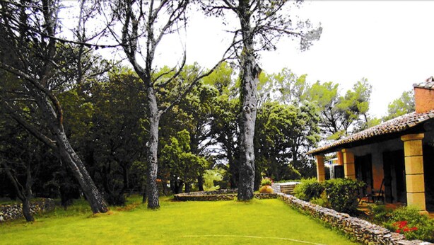 Un giardino curato con prato, alberi e un muro in pietra.