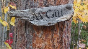 Une pancarte en bois portant le nom « McGill » est fixée au tronc d’un arbre.