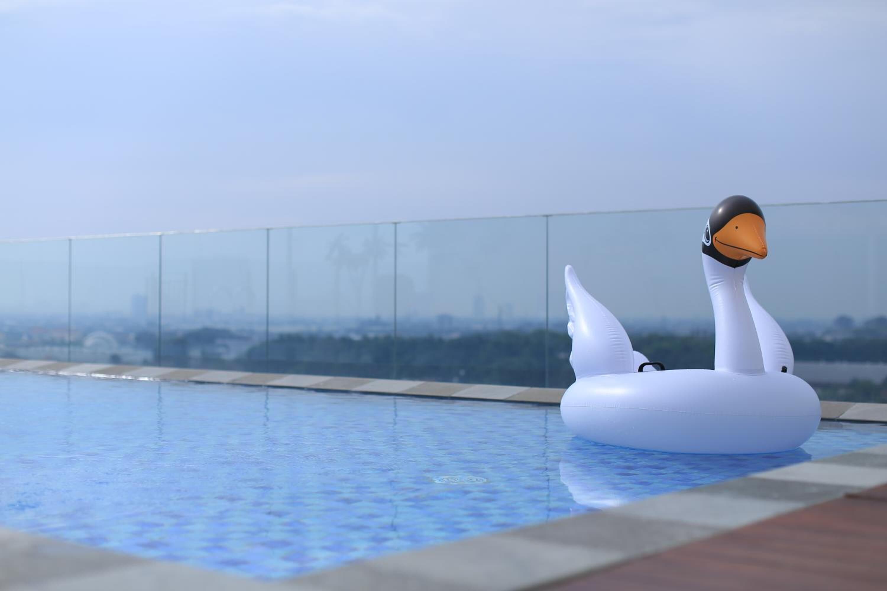 A swan-shaped inflatable in a clear pool with a cityscape view.