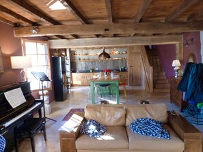 TV, fireplace, books, music library