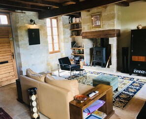 Télévision, cheminée, livres, médiathÚque