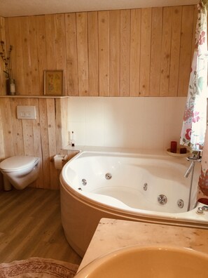 Douche, baignoire à jets, sèche-cheveux, serviettes fournies