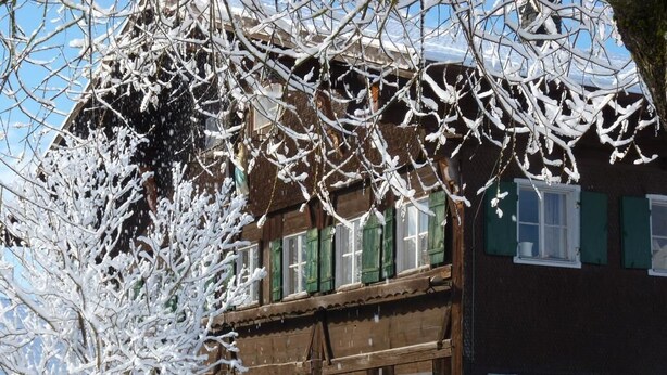 A traditional building with a wooden facade and green shutters, surrounded by snow-covered trees. - Ferienwohnung Immergrün (Görisried)