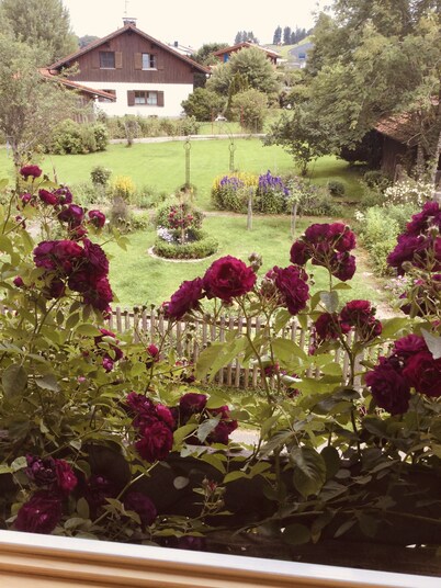 Ferienwohnung Immergrün