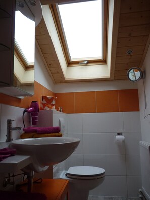Douche, baignoire à jets, sèche-cheveux, serviettes fournies