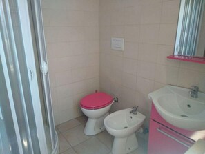 Shower, hair dryer, bidet, towels