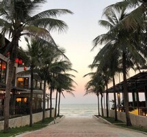 海灘、白沙