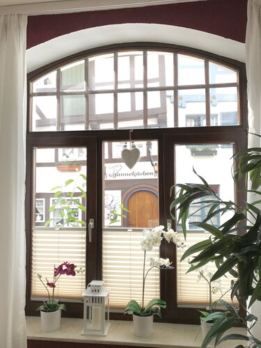 Cozy apartment on the ground floor of a historic Art Nouveau villa