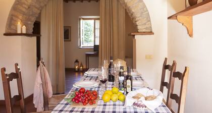 Tuscan Country House in the middle of Buccia Nera WinE Farm
