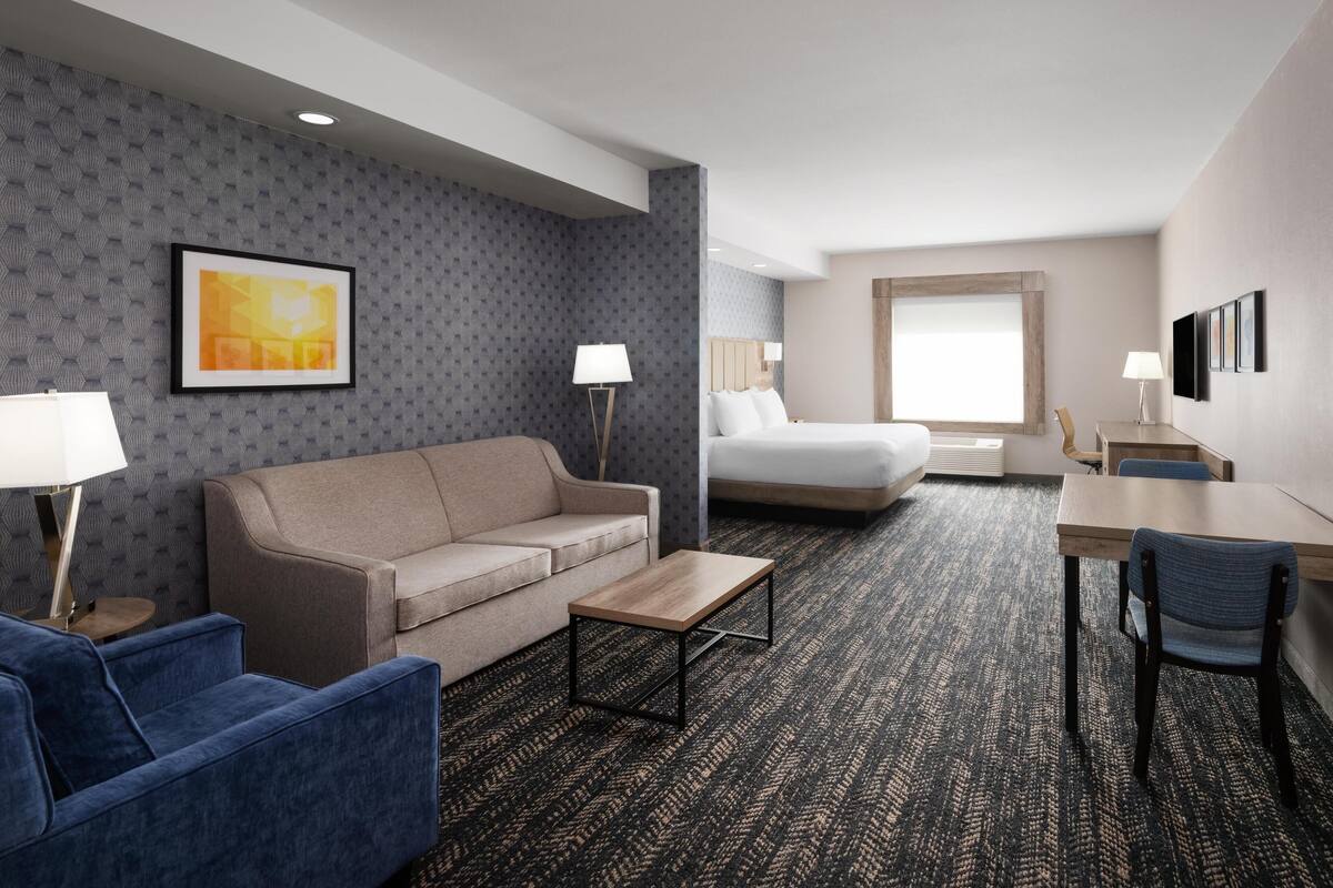 A hotel room with a sofa, a bed, a desk, and a chair.