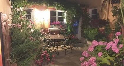 Small house with interior patio