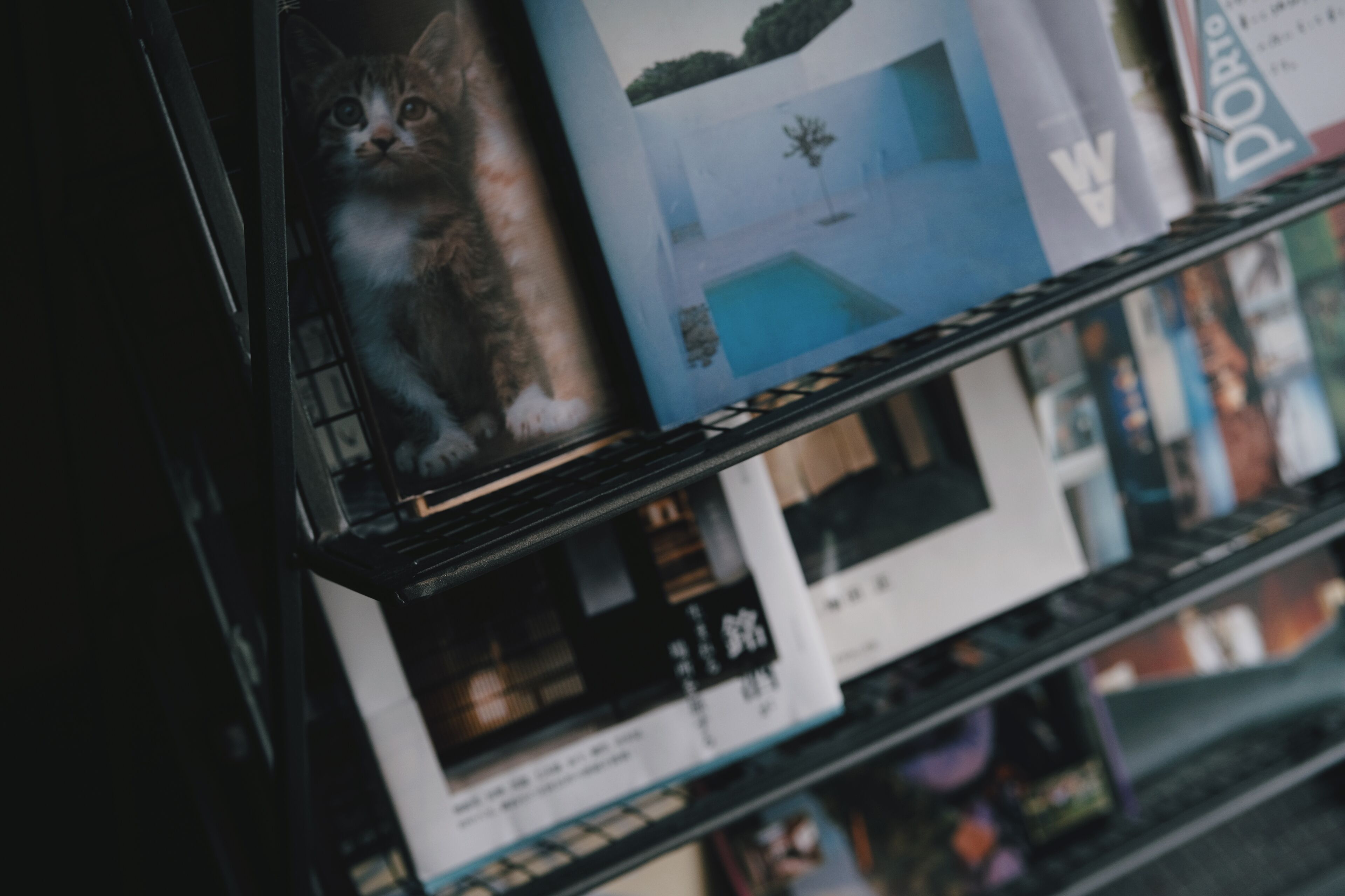 Foto - Bunshodo Hotel