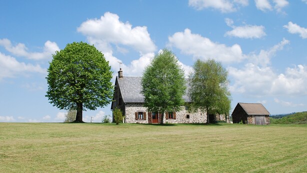 A stone farmhouse with a large tree in the foreground, a barn to the right, and a clear blue sky. - Auvergne farmhouse in the heart of nature (CROS)