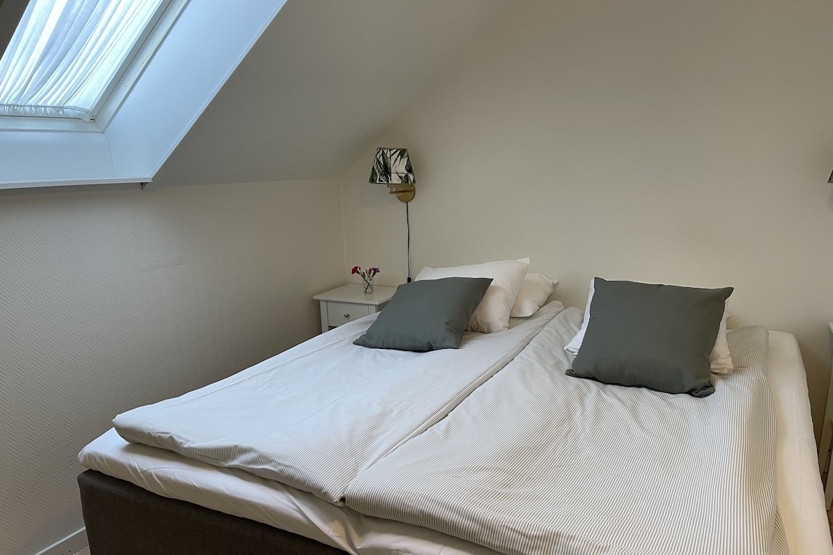 Basic Twin Room (Pet Friendly)