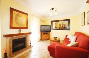 TV, fireplace