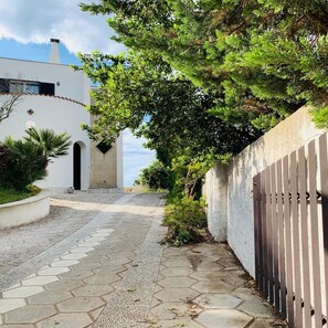 Área da propriedade