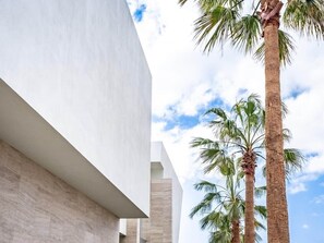 A modern building with a white facade and a tall palm tree in the background.