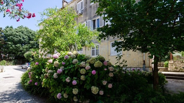 Un bâtiment doté d’un espace jardin agrémenté de buissons d’hortensias et d’un arbre.