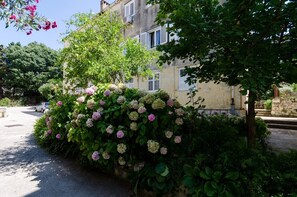 Ein Gebäude mit Gartenanlage, einschließlich Hortensienbüschen und einem Baum.