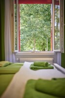 Vistas desde la habitación