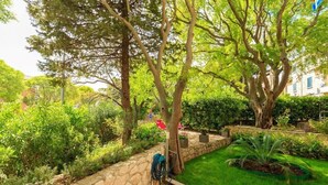 Ein Garten mit Steinmauer, Rasen und verschiedenen Bäumen.