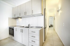 Grand Apartment, 2 Bedrooms | Private kitchen | Fridge, oven, stovetop, electric kettle