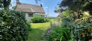 Property grounds - Single-storey house facing the sea at Le Cabellou in Concarneau (Concarneau)