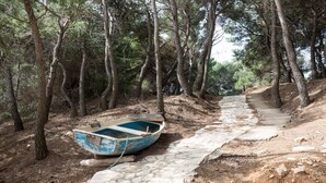 Ein Steinweg führt durch ein bewaldetes Gebiet, wo ein kleines Boot auf dem Boden liegt.