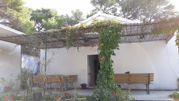 Un patio con un banco de madera, una pared de piedra y plantas en macetas.