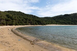Une plage à l’eau claire, avec un rivage sablonneux et une colline boisée en arrière-plan.