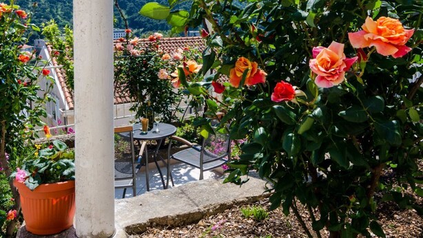Un jardín con rosales, un pérgola y una mesa con sillas.