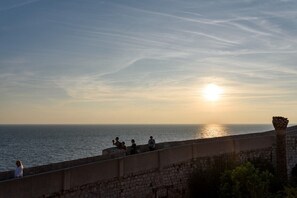 ビーチ / オーシャン ビュー