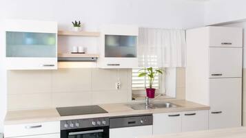 Fridge, oven, stovetop, dishwasher