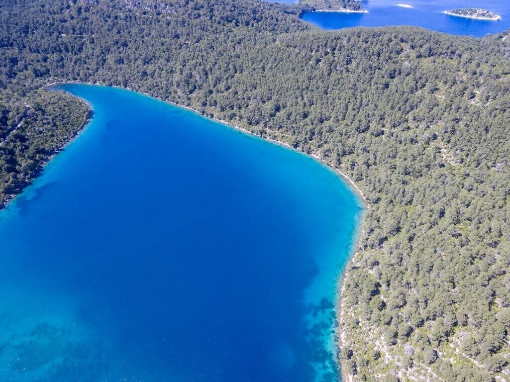 An aerial view of a coastal area with a large body of water and dense forest.
