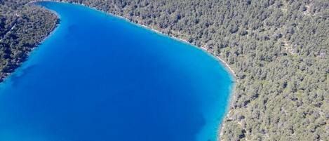 An aerial view of a coastal area with a large body of water and dense forest.