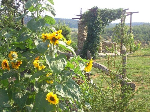 Pyreneen Vue gite with pool, renovated farmhouse tranquil with amazing views